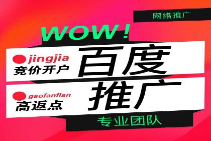 竞价排名中关键词出价策略的案例探讨